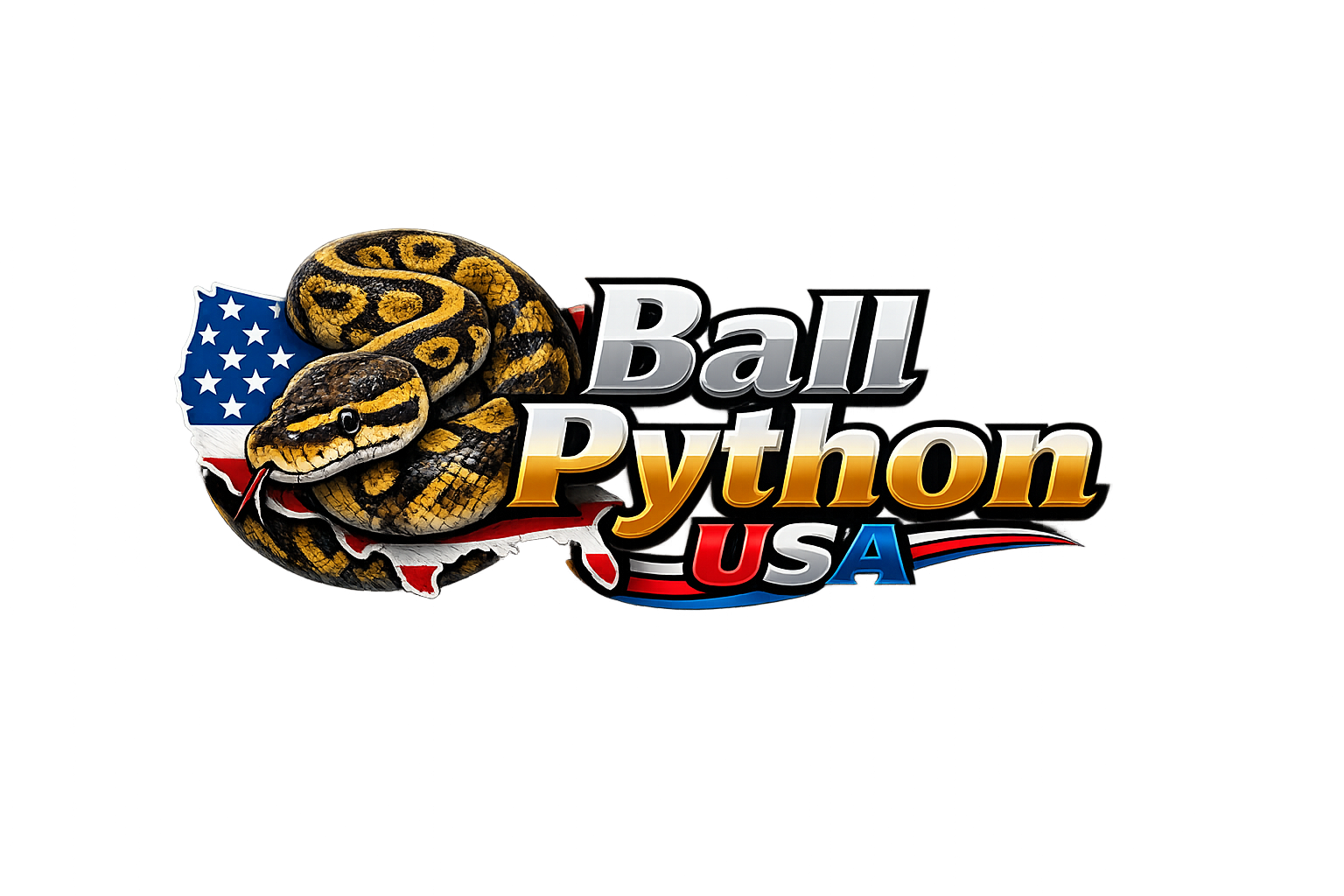 Ball Python USA
