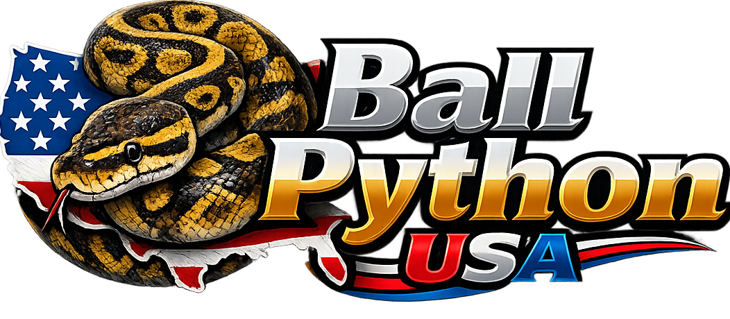 Ball Python USA